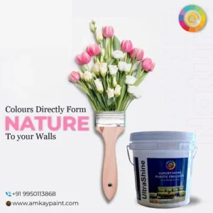 UltraShine Luxury Shyne Plastic Emulsion Paint - Image 3